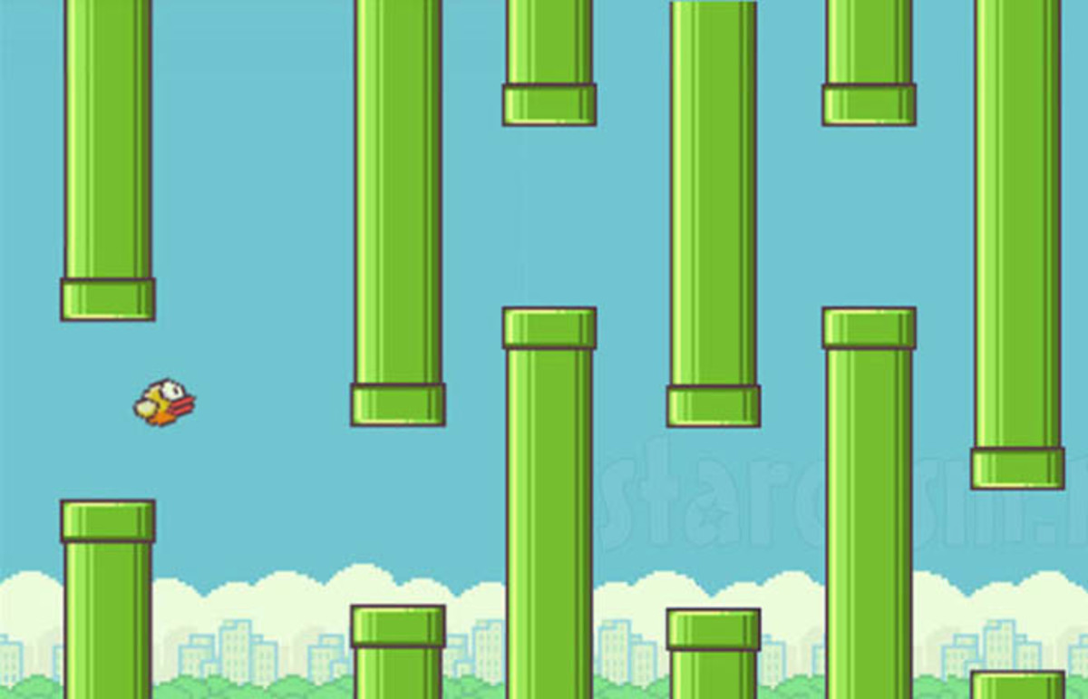 Bird Preview